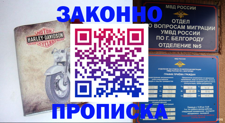 прописка для школы в Нижнем Ломове